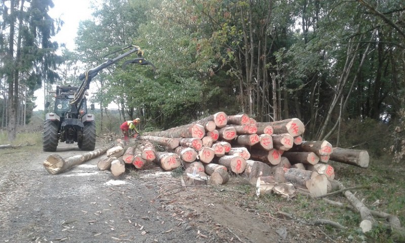 20180815_182420 klein.jpg