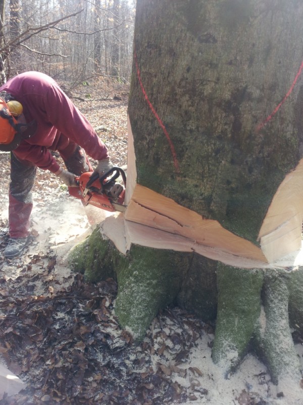 Bilder vom Handy 2120.jpg