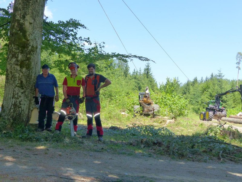 Hütte freihauen 4.jpg