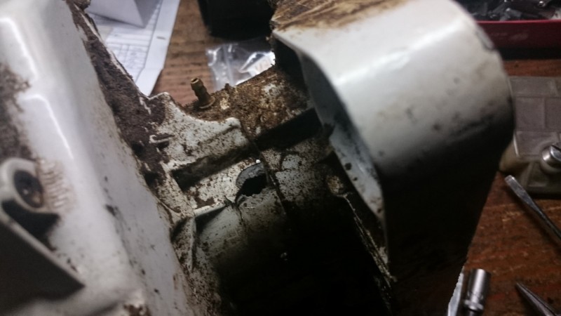 DSC_1235 (Medium).JPG