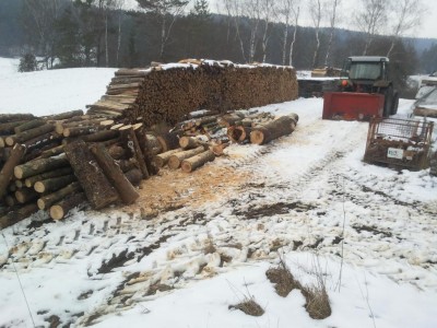 K1024_2014-02-01 14.43.42.JPG