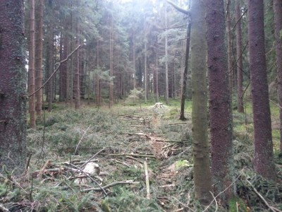 Bild1.jpg