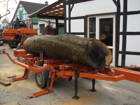 Wood Mizer LT20 Dicke Eiche.JPG