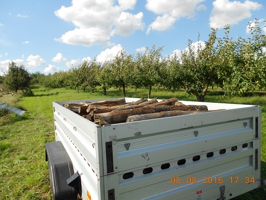 geladener Anhänger.jpg