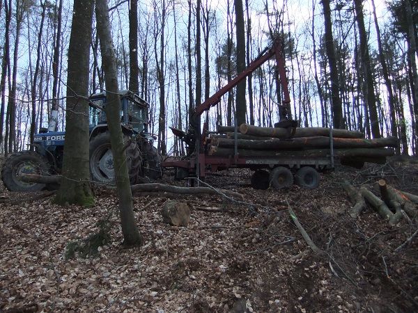 Douglasientransport und Kranunfall v. 10.04.2010 00311.jpg