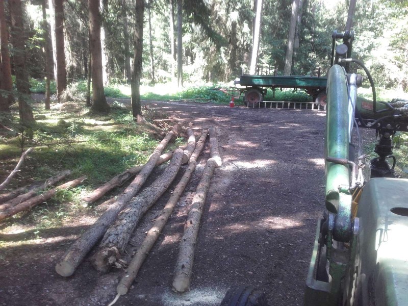 2018-07-07 Wald 3.jpg