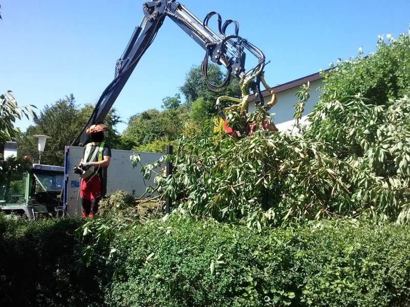 2012-08-18 11_028.44.30.jpg