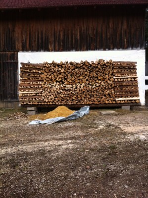 Landtreff 2203 Holzspalten.jpg