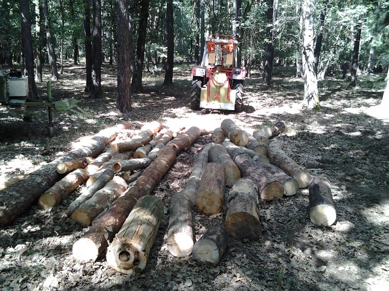 2012-08-20 12.04.47.jpg