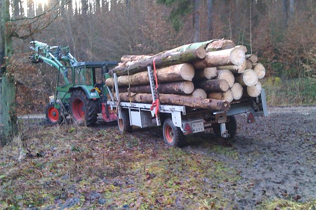 Holzrücken Januar 2013c.jpg