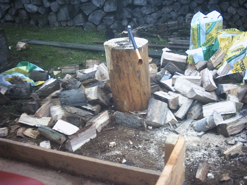 Holz mit Güldner und Eyck Dez. 2008 001.JPG