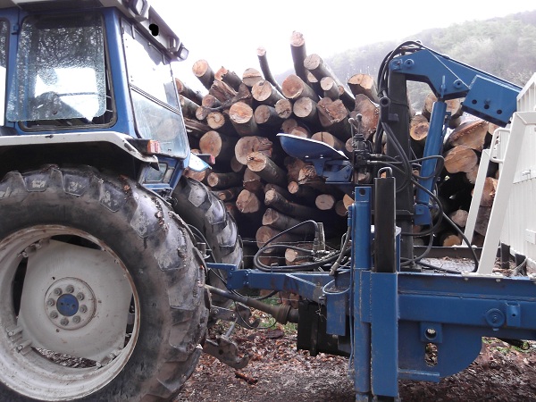 Holzabfuhr Teil 3 027.JPG