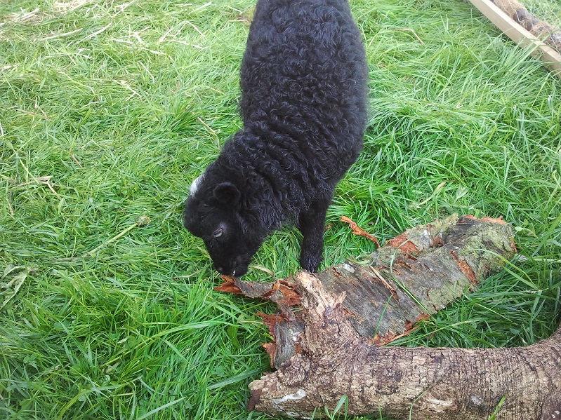 2014-04-24 07.56.10.jpg