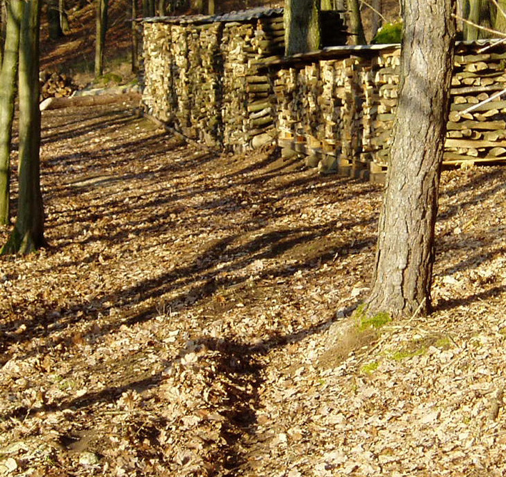 Holzrücken Dezember 29.12.2008 013.jpg