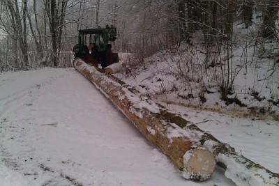 Rücken 16.02.2013d.jpg