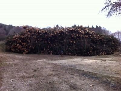 Landtreff 2203 Hackschnitzelhaufen..jpg