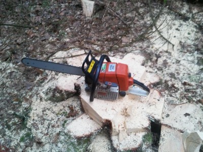 K1024_2013-12-31 09.07.41.JPG