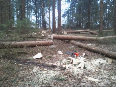 K1024_2013-12-31 09.07.09.JPG