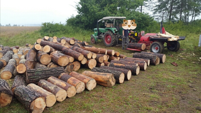 2016-08-04 21.47.21.jpg