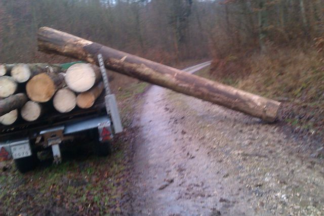 Holzrücken 03.01.13g.jpg