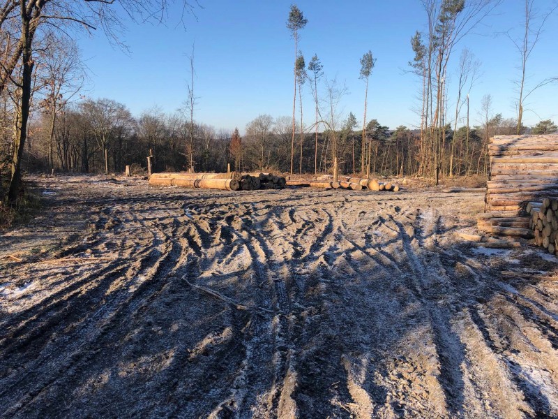 Holzplatz.jpg