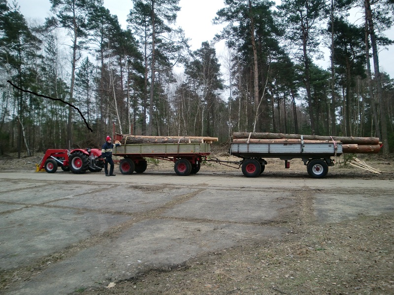 Schnittholz 2010.jpg