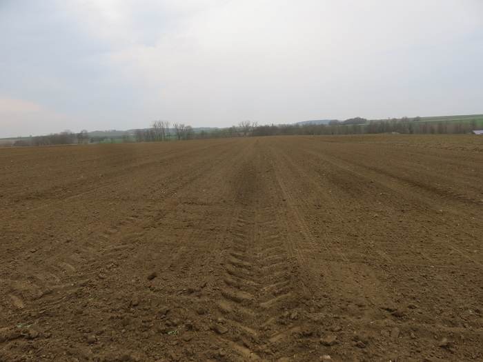 Z`Rübenacker 10.4.18.jpg