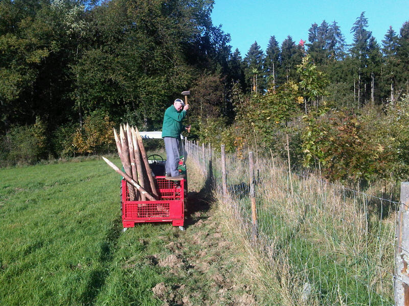 Wildzaunwartung 2011b.jpg