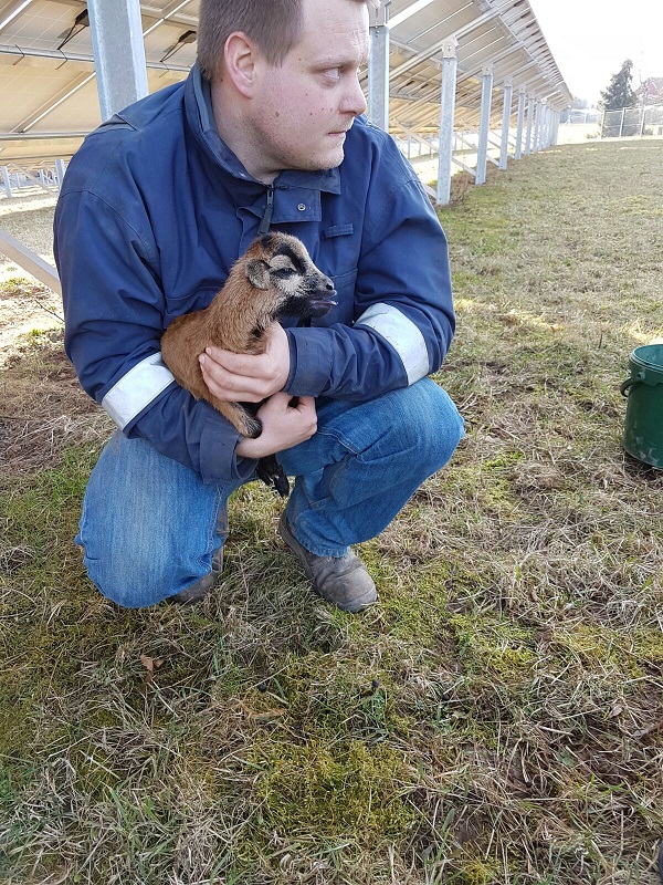 Badener mit Laemmle1.jpg