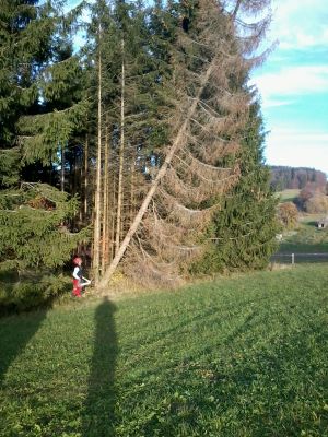 2014-11-07 15.21.58.jpg