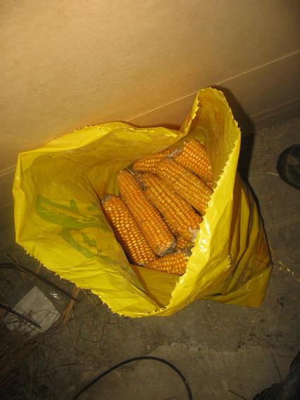 Heutige Arbeit 015.JPG