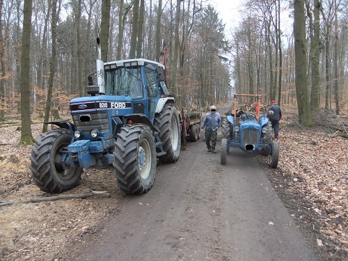 Rücken und Abtransport 2011 238.JPG