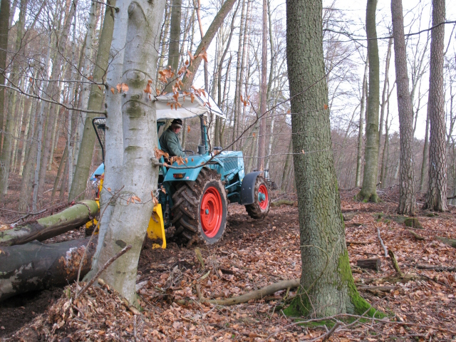 Dezember II 018k.jpg