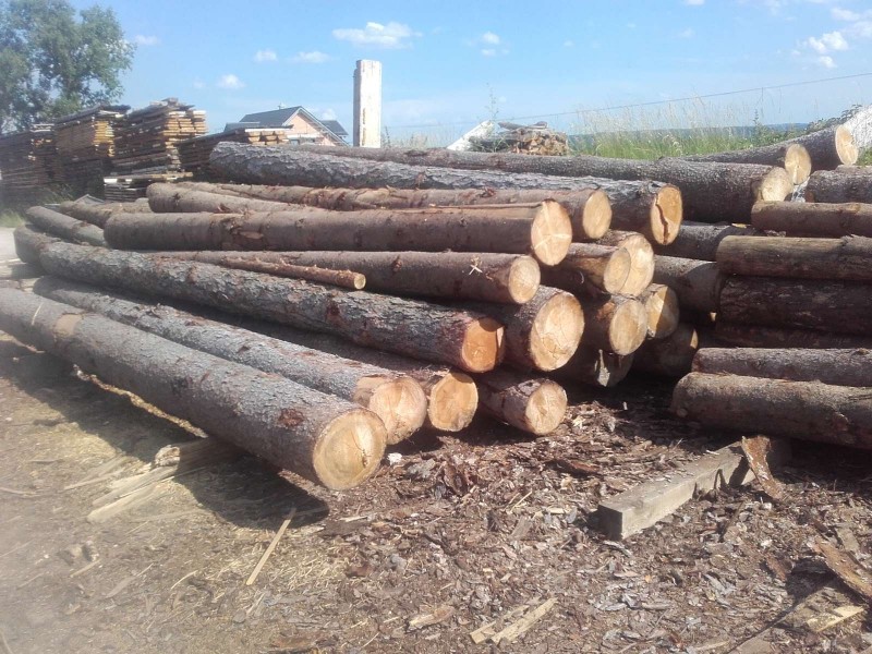 2019-06-19 Haufen Sägewerk 1.jpg