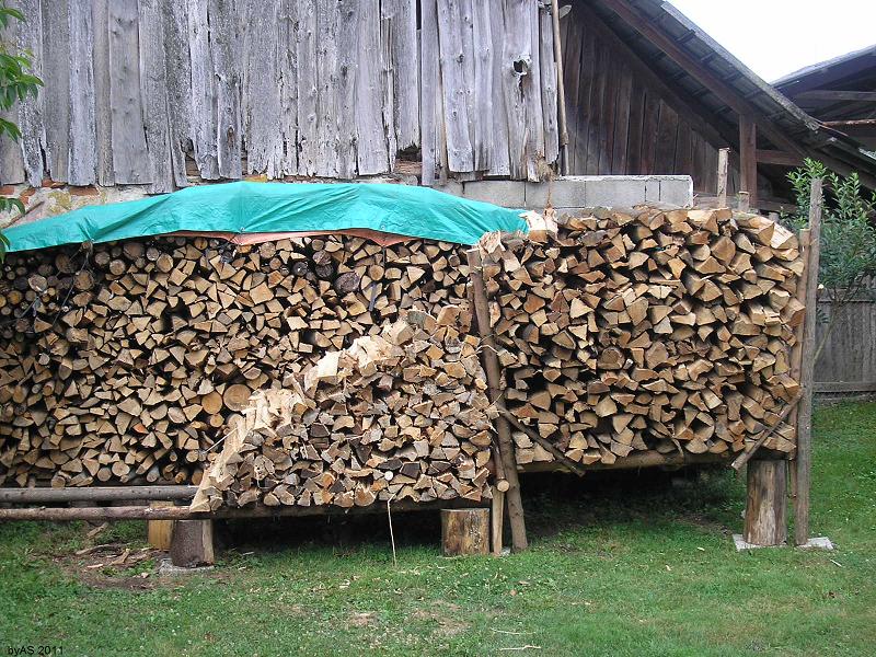 Brennholz_07_2011_P7200053_2.JPG
