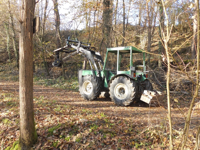 Zweites Gefährt.jpg