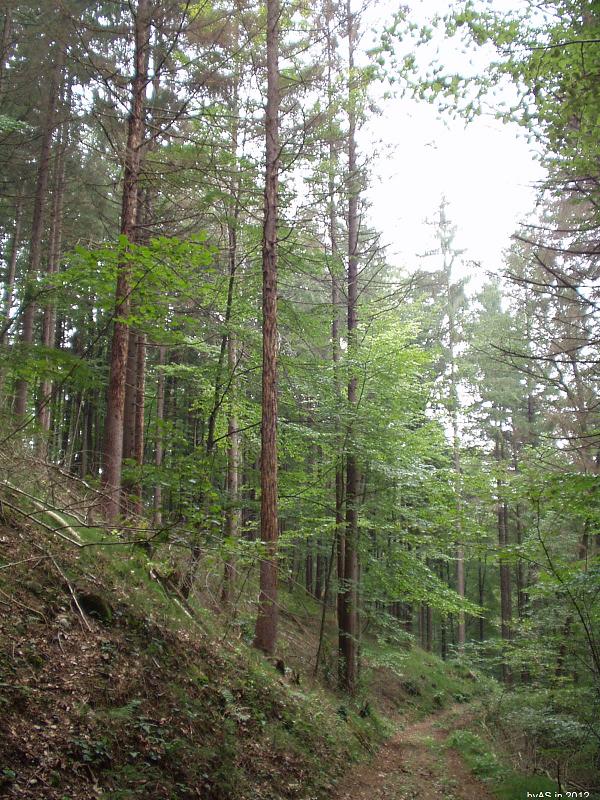 Tatort_DSG_P9290005_2.JPG