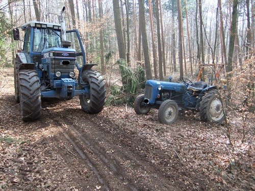 Rücken und Abtransport 2011 001.JPG