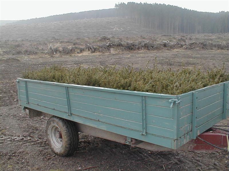 Bild 010 (Medium).jpg