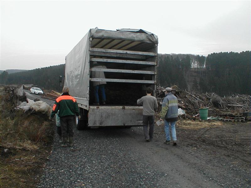 Bild 001 (Medium).jpg