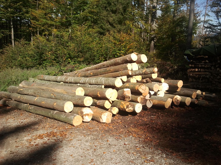 2012-10-06 13.30.43.jpg