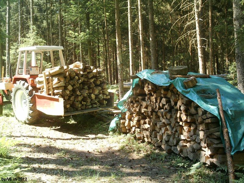Buchen_Meterholz_aus_dem Wald_abfahren_IMAG0002_2.JPG