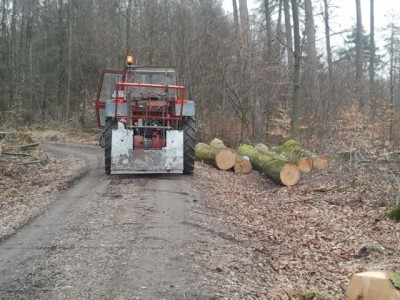 2013-03-30 13.44.02.jpg