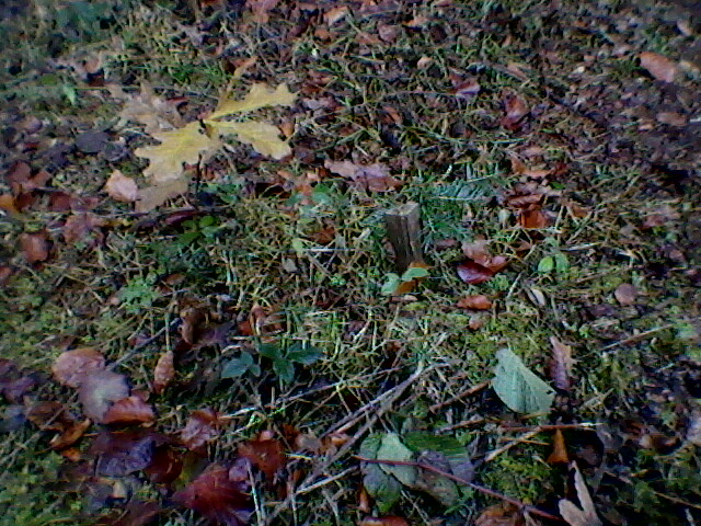 Foto-0010.jpg