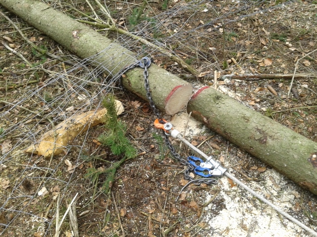 2015-04-04 11.43.59 (640x480).jpg