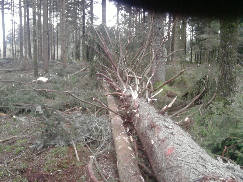 P130912_18.06_klein.jpg