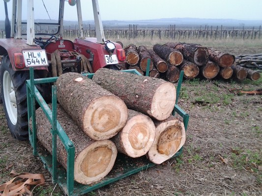 2012-04-07 15.16.38.jpg