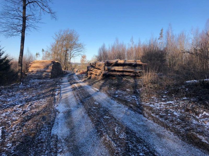Weg zum Holzplatz.jpg
