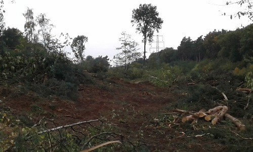 2016-10-30 16.13.51.jpg