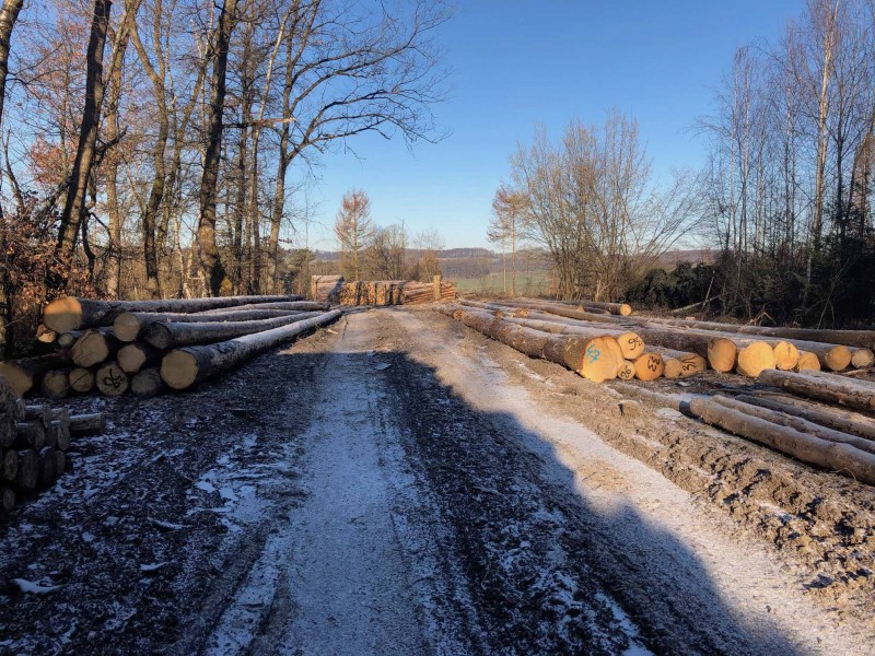 Weg zum Holzplatz 2.jpg